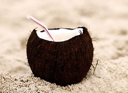 Yummy coconut milk recipes