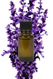 Lavenderoil2